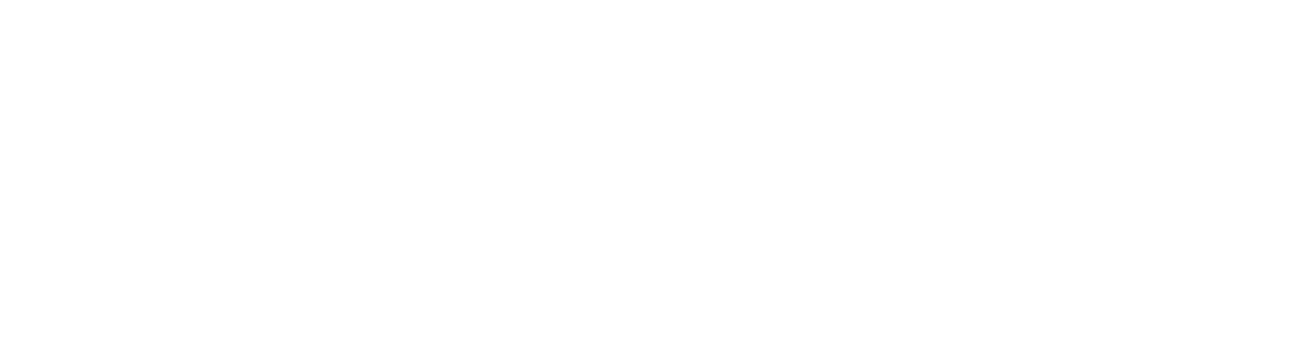 Digital Kingsmen logo